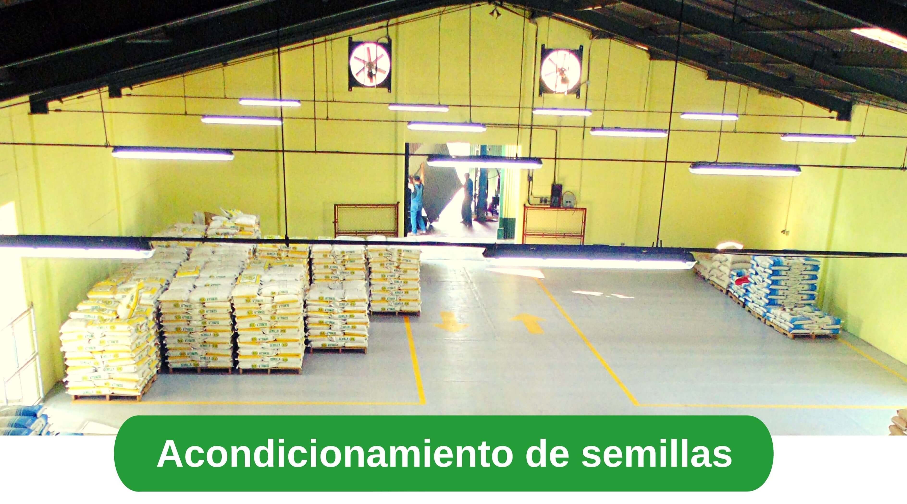 Acondicionamiento de semillas ICTA